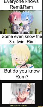 I Veryone Knows Rem Ram Some Even Know The 3rd Twin Rim Ifunny Anime Memes Funny Memes Ifunny