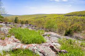 Colorful kids data di pubblicazione: Life On The Rocks Missouri Department Of Conservation