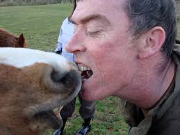 Ronnie Snogging the Horse