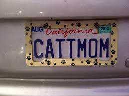 Even if you're still in drivers ed , now's the time to start thinking about it. California Personalized License Plates Creative License Plates License Plate