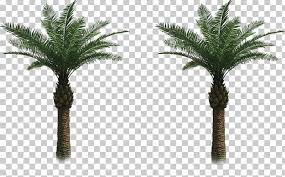 Search and use 100s of palma clip arts and images all free! Arecaceae Tree Date Palm Png Clipart Admire Arecaceae Arecales Areca Palm Artificial Free Png Download