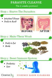 Do this a few hours after your child goes to bed. 41 Best Home Remedies For Pinworms Ideas Home Remedies For Pinworms Remedies Home Remedies