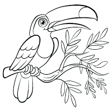 Check spelling or type a new query. Printable Coloring Pages Of A Bird Novocom Top