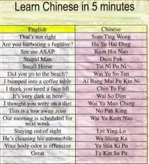 You should be smart enough. Learn Chinese In 5 Minutes Album On Imgur