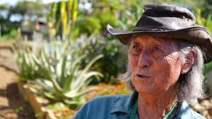 Localicious® Hawai'i Art and Video Contest Winners 2022