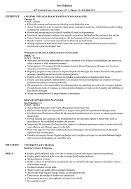 Branch / Operations Manager Resume Samples | Velvet Jobs