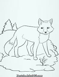 Malvorlage fuchs / coole ausmalbilder zum ausdrucken kostenlos als pdf : Kostenlose Malvorlagen Zum Ausdrucken Zum Besten Von Kinder Basteln Mit Kids