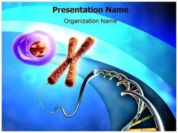 Sometimes these modifications can regulate where a protein. 7 Shaymaa Ideas Powerpoint Template Free Powerpoint Templates Powerpoint Presentation