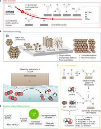 Carbon monoxide in the home can be prevented and detected with a carbon monoxide sensor. Advances And Challenges In Understanding The Electrocatalytic Conversion Of Carbon Dioxide To Fuels Nature Energy