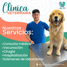 CLINICA VETERINARIA MY PET