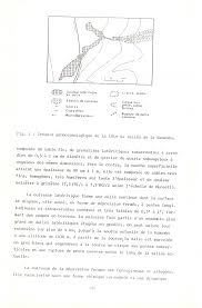 Image result for Kotschya capitulifera