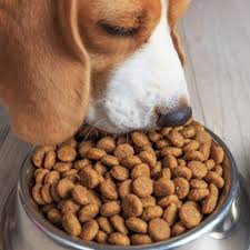 Les Meilleures Croquettes Pour Chien 2021 Test Comparatif