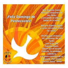 We did not find results for: Feliz Domingo De Pentecostes Web Safa Minas