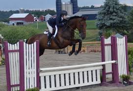 If you are new to horses. Horseback Riding It Looks Easy But Is It Really Lions Digest