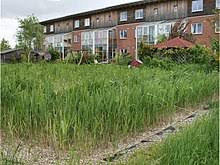 They do more than sustain plants and animals in the watershed, however. Constructed Wetland Wikipedia