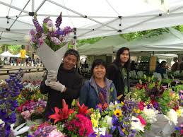 We did not find results for: Portland Farmers Market Vendor Profile Favorite Produce Of Oregon