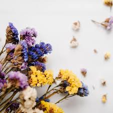 Mit einfachen hausmitteln deine nägel schneller trocknen lassen kannst. Blumen Trocknen So Einfach Geht S Brigitte De