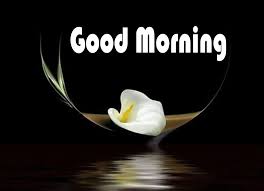 Check spelling or type a new query. Good Morning Wishes Beautiful White Flower Beautiful Special Good Morning 917x665 Wallpaper Teahub Io