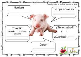 Pin By Yared Lopez On Proyecto De Lectura Preesco Animals
