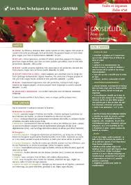 Fiches Fruits Et Legumes Reseau Gab Frab Fruits Et Legumes Legumes Fruits