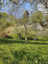 Anträge auf wohnraumförderung für den bau oder erwerb eines eigenheims im kreis tübingen sind bei der wohnraumförderungsstelle des landratsamtes einzureichen. Archiv Grundstuck Zum Verkauf Mossingen Mapio Net