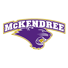 D1 hockey loses series at Jamestown