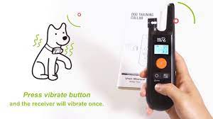 3 safe and effective training modes; How To Use Dogcare Dog Training Collar Tc 01 Youtube