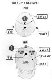 頭 顔面の筋肉と骨格の解剖学 頭の構造について naver まとめ body care body acupuncture