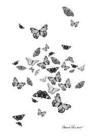 Maybe you would like to learn more about one of these? Butterfly Cluster In Black And White Drawing By Eleanor Rhinehart