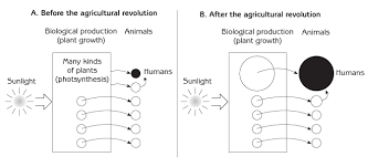 Gerry Marten Human Ecology Human Population