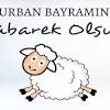 İhlas suresi oku, dinle, diyanet meali 1