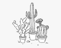 More cactus transparent with similar searching. Transparent Cactus Clip Art White And Black Aesthetic Png Free Transparent Clipart Clipartkey