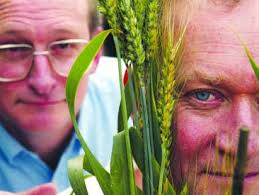 Adelaidean September 2002