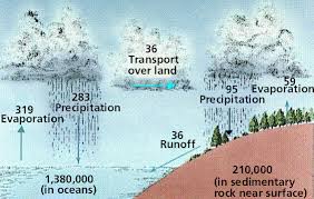 Both ions are transported against the concentration gradient. Transport In And Out Of Cells