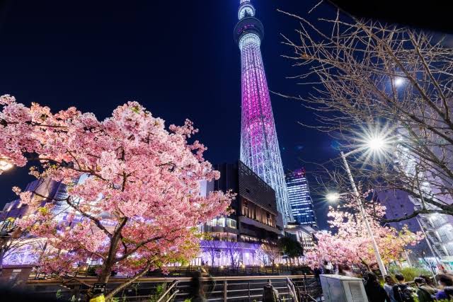A Comprehensive Guide to Enjoying Tokyo Skytree - Japan Travel Sights