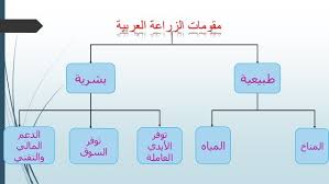 نتيجة بحث الصور عن مقومات الزراعة Makeup