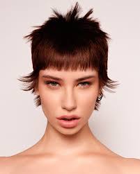 Brunette Hairstyle Photos