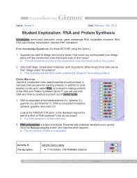 Student exploration rna and protein synthesis answer key. Rna Protein Synthesis Virtual Lab Docsity