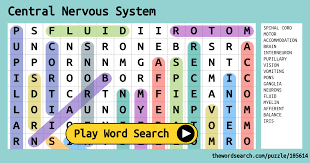 Central Nervous System Word Search