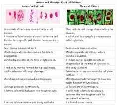 Maybe you would like to learn more about one of these? What Is Mitosis And Its Importance In Plant Breeding Quora