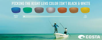 Costa Lens Color Chart New List Of Synonyms And Antonyms Of