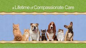 More welcome to academy pet hospital!you adore your pet!wouldn't it be nice to work with a vet who shares that level of care and affection? Academy Pet Hospital 200 Owen Drive Fayetteville Reviews And Appointments Topvet