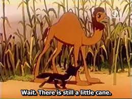 A camel and a jackal were friends. The Little Jackal And The Little Camel Ussr 1956 With English Subtitles Video Dailymotion