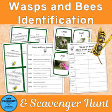 wasps and bees scavenger hunt and identification activity