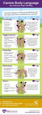 58 best dog body language images dog body language dogs