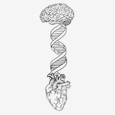 New Horizon 140 Bpm By Horizon Brain Art Anatomy Art Art Sketches