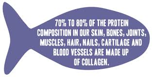 Image result for FISH COLLAGEN