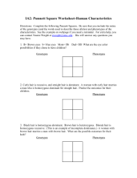 Each of these genes contain the code for certain characteristics. Punnett Square Worksheet