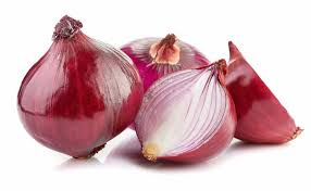Ukuran pot tak perlu terlalu besar, malah kamu bisa menanam dua benih sekaligus dalam satu pot. Cara Menanam Bawang Merah Di Pekarangan Rumah Kampustani Com