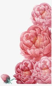 We did not find results for: Floral Clip Art Peonies Transparent Png 715x715 Free Download On Nicepng